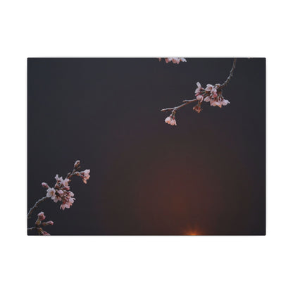 Dark Japandi Cherry Blossom in Candlelight | Moody Minimal Canvas Art Art Print