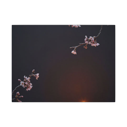 Dark Japandi Cherry Blossom in Candlelight | Moody Minimal Canvas Art Art Print