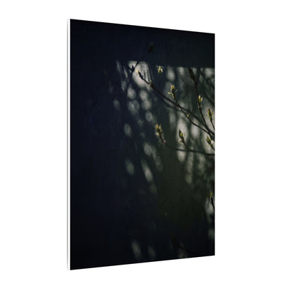 Dark Japandi Shoji Screen in Dappled | Moody Minimal Canvas Art