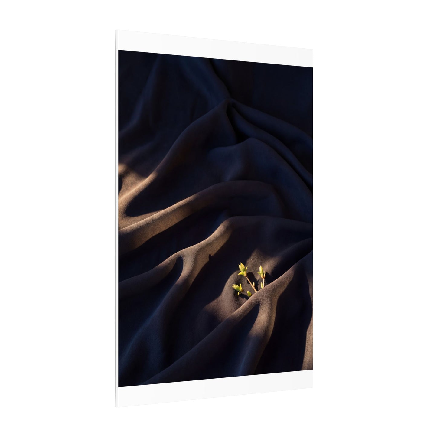 Silk Drape Shadow Zen Canvas Art | Luxurious Dark Japandi Art