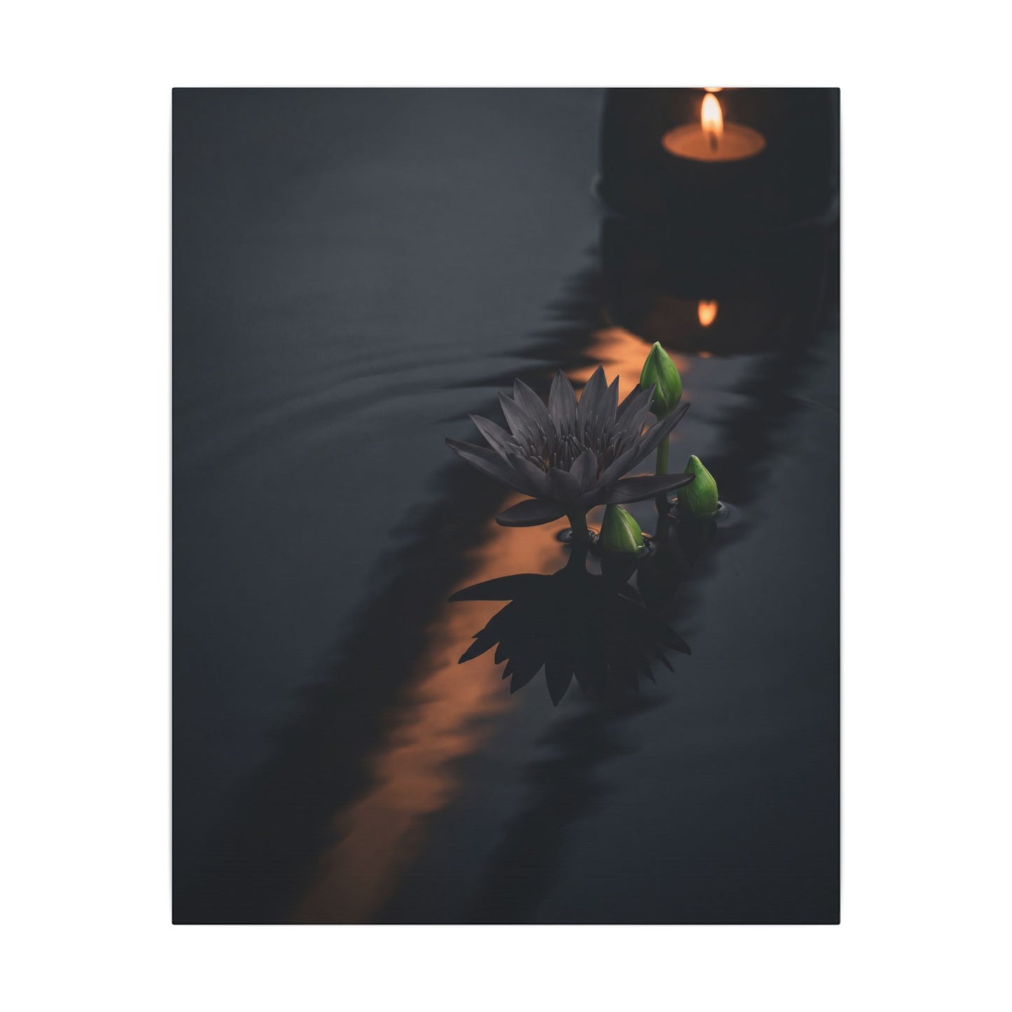 Seijaku Lotus Flower Canvas Art - Dark Japandi Shadow Zen