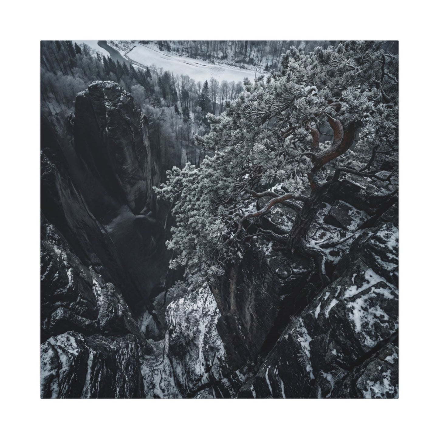 Dark Japandi Pine Tree in Dappled | Dark Texture Canvas Art