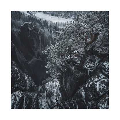 Dark Japandi Pine Tree in Dappled | Dark Texture Canvas Art