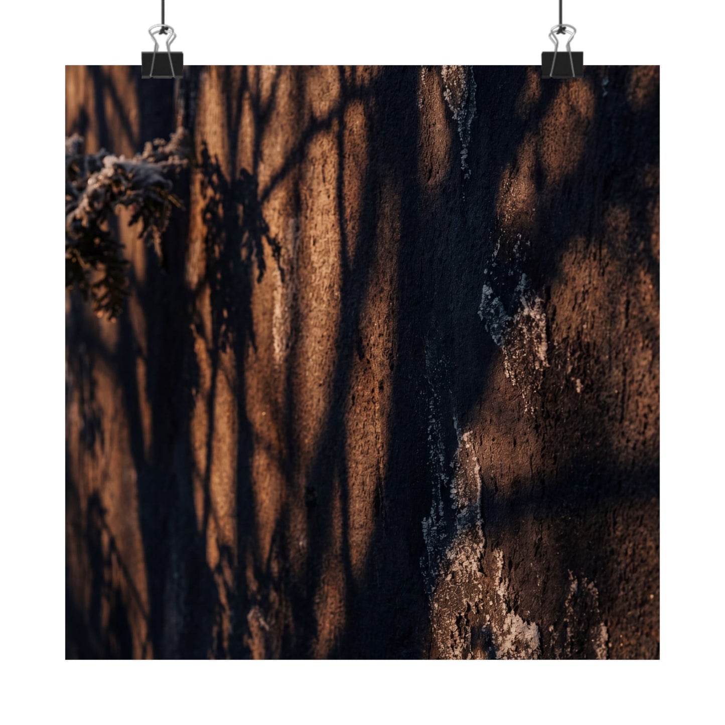 Shadow Play Wall Art Print | Winter Dark Japandi Moody Minimal Art Art Print