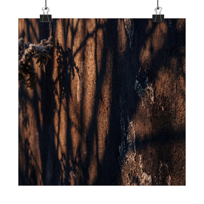 Shadow Play Wall Art Print | Winter Dark Japandi Moody Minimal Art Art Print