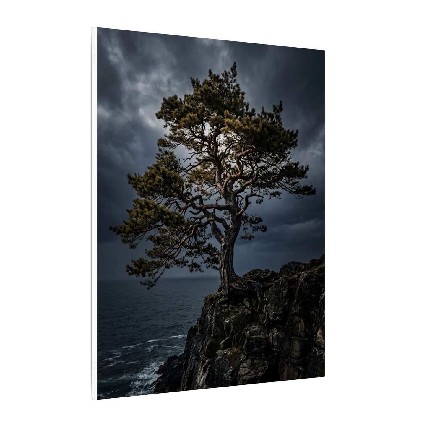 Dappled Pine Tree Canvas Art - Dark Japandi Fukinsei
