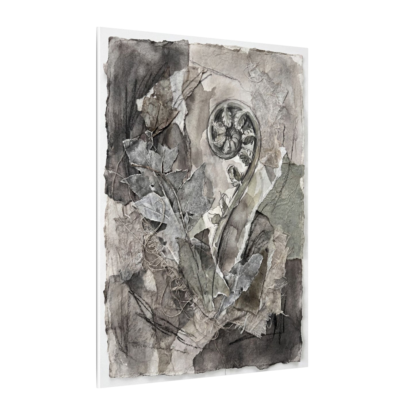 Japandi Fern Unfurling in Overcast | Texture Canvas Art