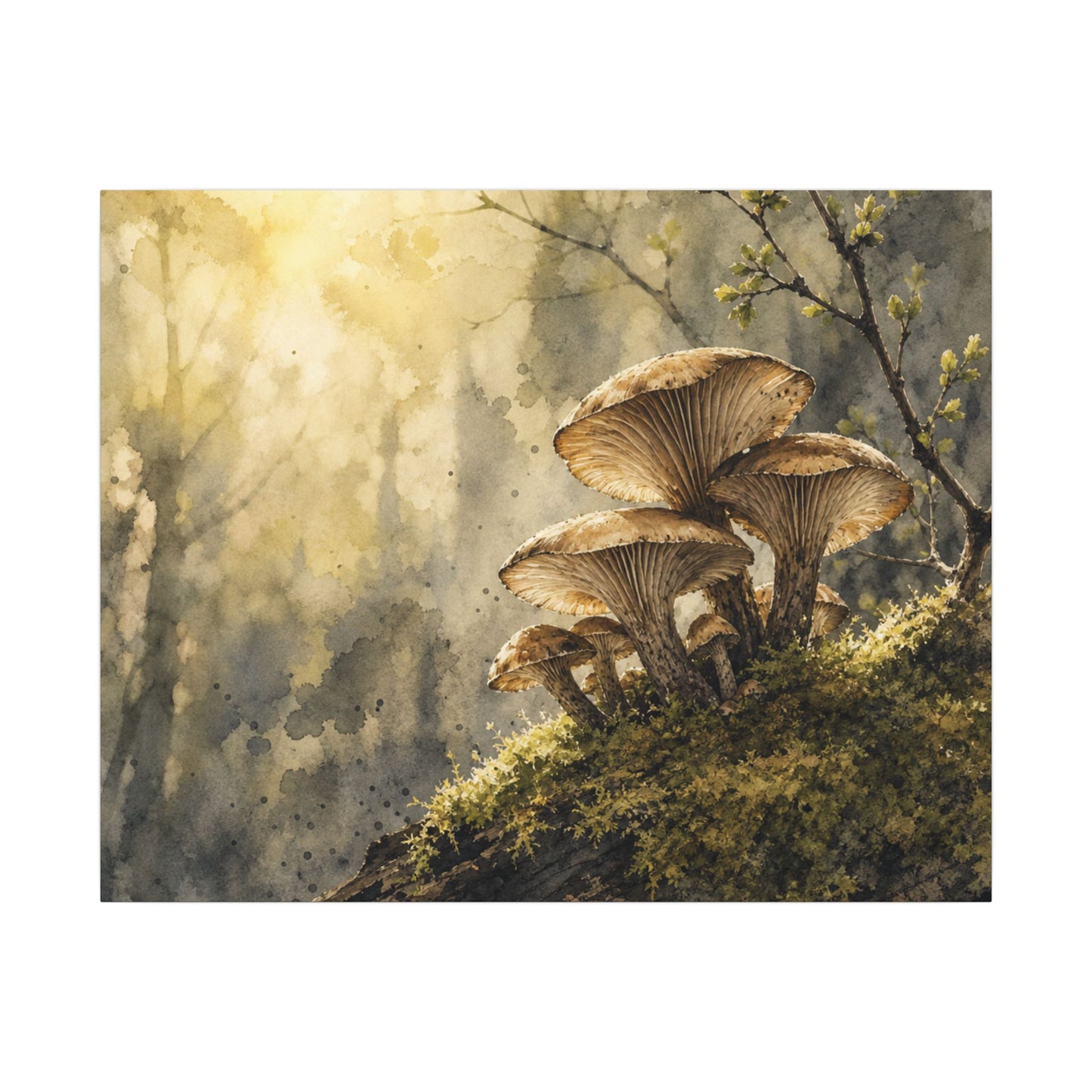 Wild Mushrooms Canvas Art | Spring Japandi Watercolor Art