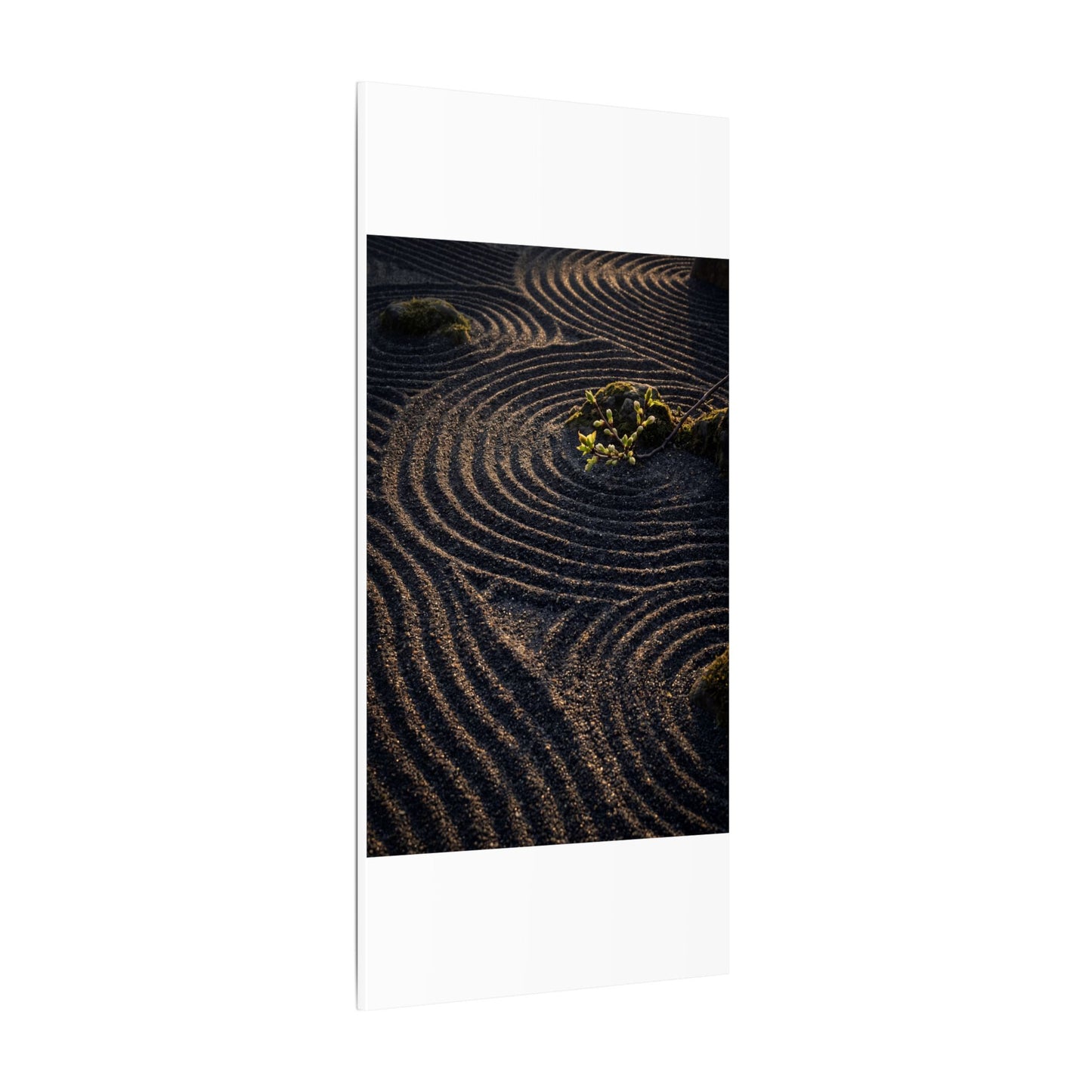 Spring Rock Garden Shadow Zen Canvas Art | Atmospheric Decor