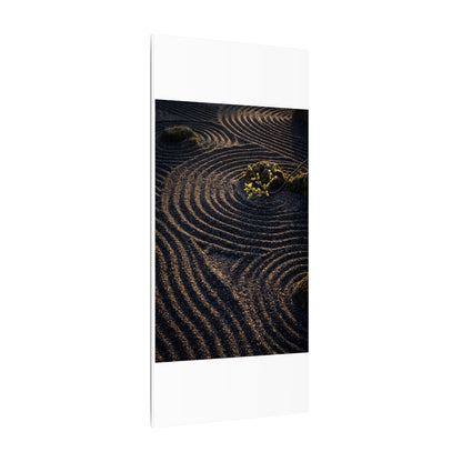 Spring Rock Garden Shadow Zen Canvas Art | Atmospheric Decor