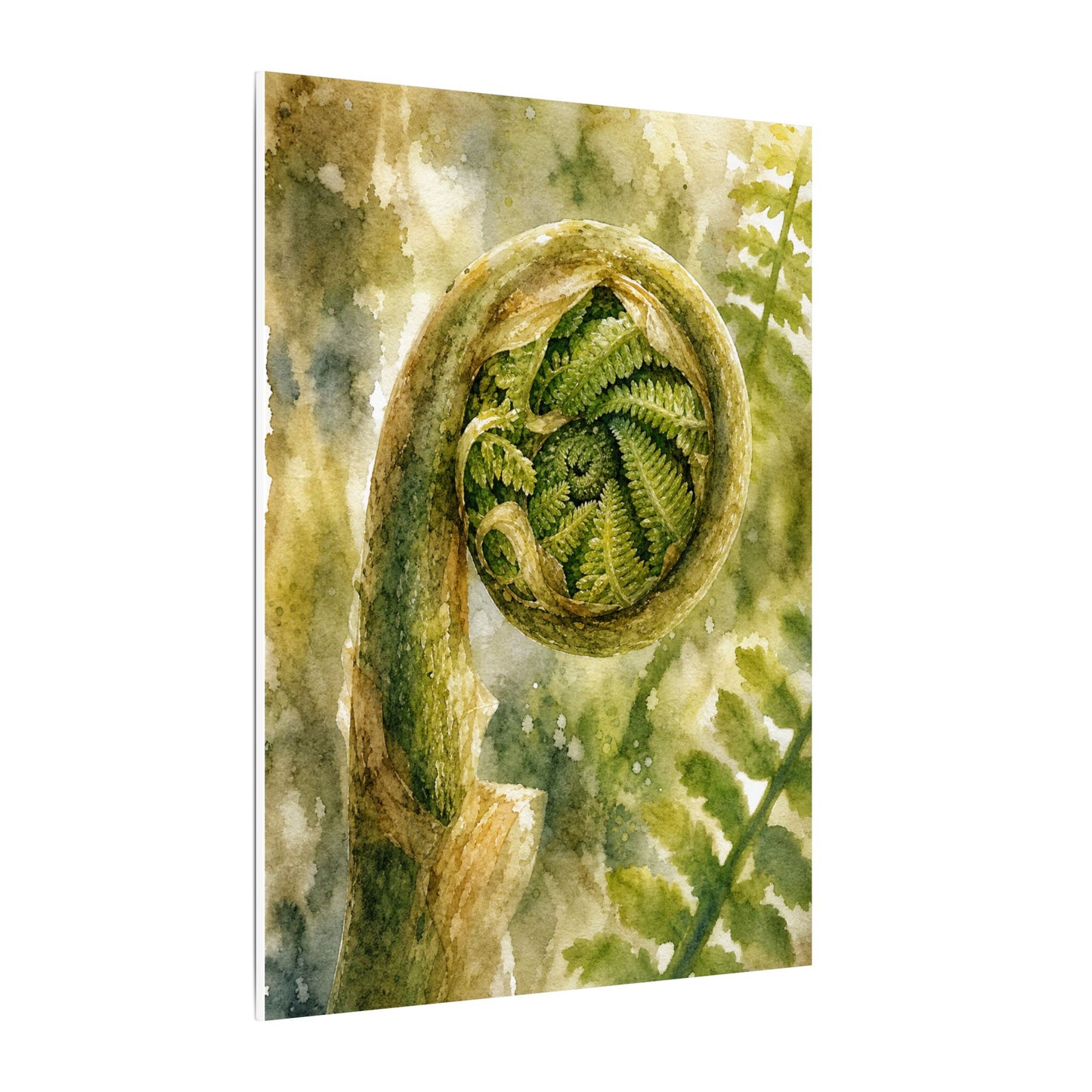 Japandi Fern Unfurling in Dappled | Watercolor Canvas Art