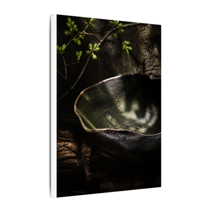 Sophisticated Ceramic Bowl Canvas Art - Dark Texture Dark Japandi