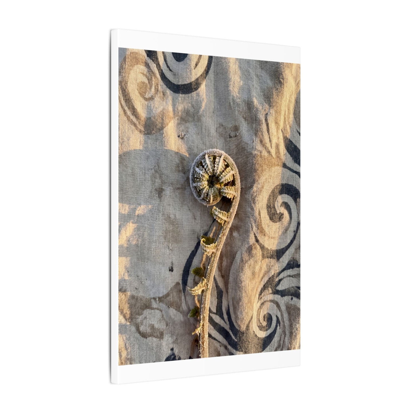 Fern Unfurling Canvas Art | Winter Japandi Japanese Pattern Art
