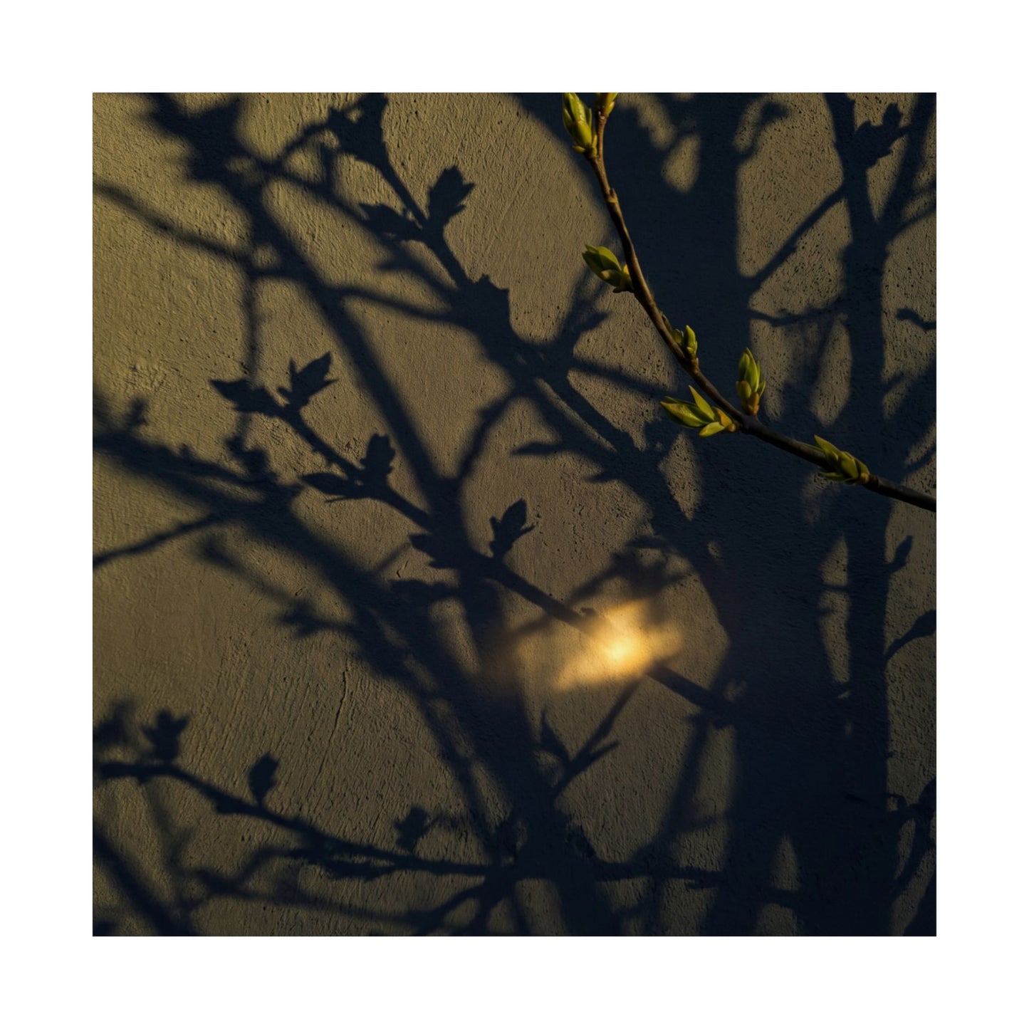 Datsuzoku Shadow Play Wall Art Print - Dark Japandi Moody Minimal