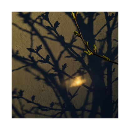 Datsuzoku Shadow Play Wall Art Print - Dark Japandi Moody Minimal