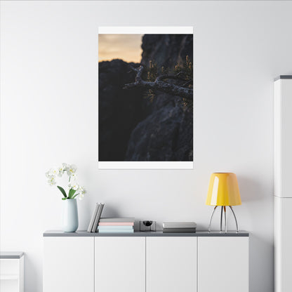 Pine Tree Moody Minimal Canvas Art | Sophisticated Dark Japandi Art