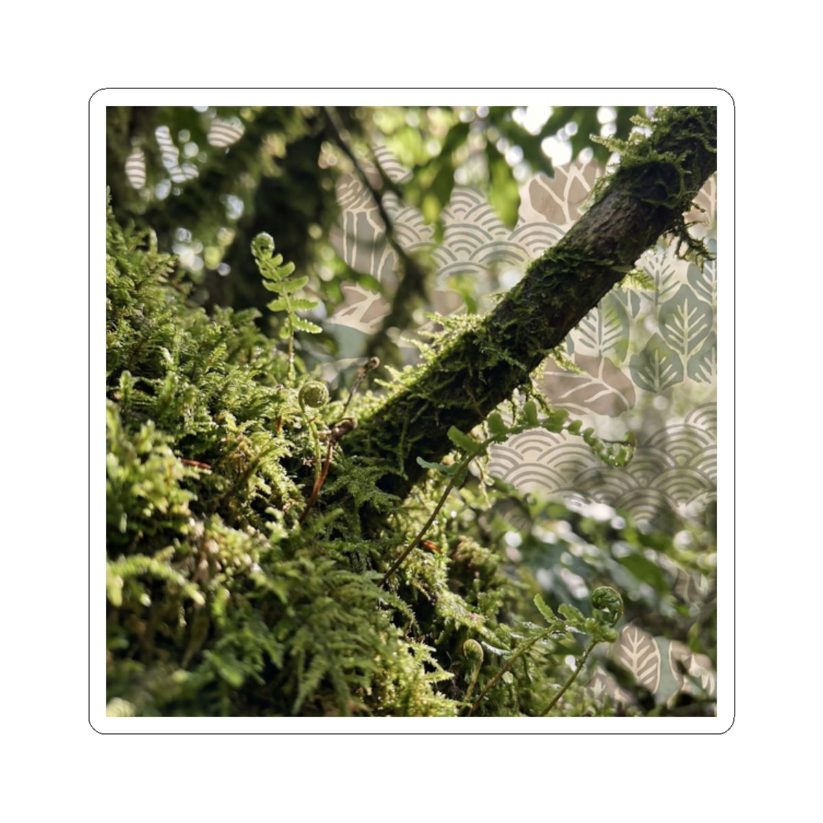 Moss Close Up Spring Sticker | Japandi Earthy Design Art Print