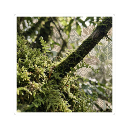 Moss Close Up Spring Sticker | Japandi Earthy Design Art Print