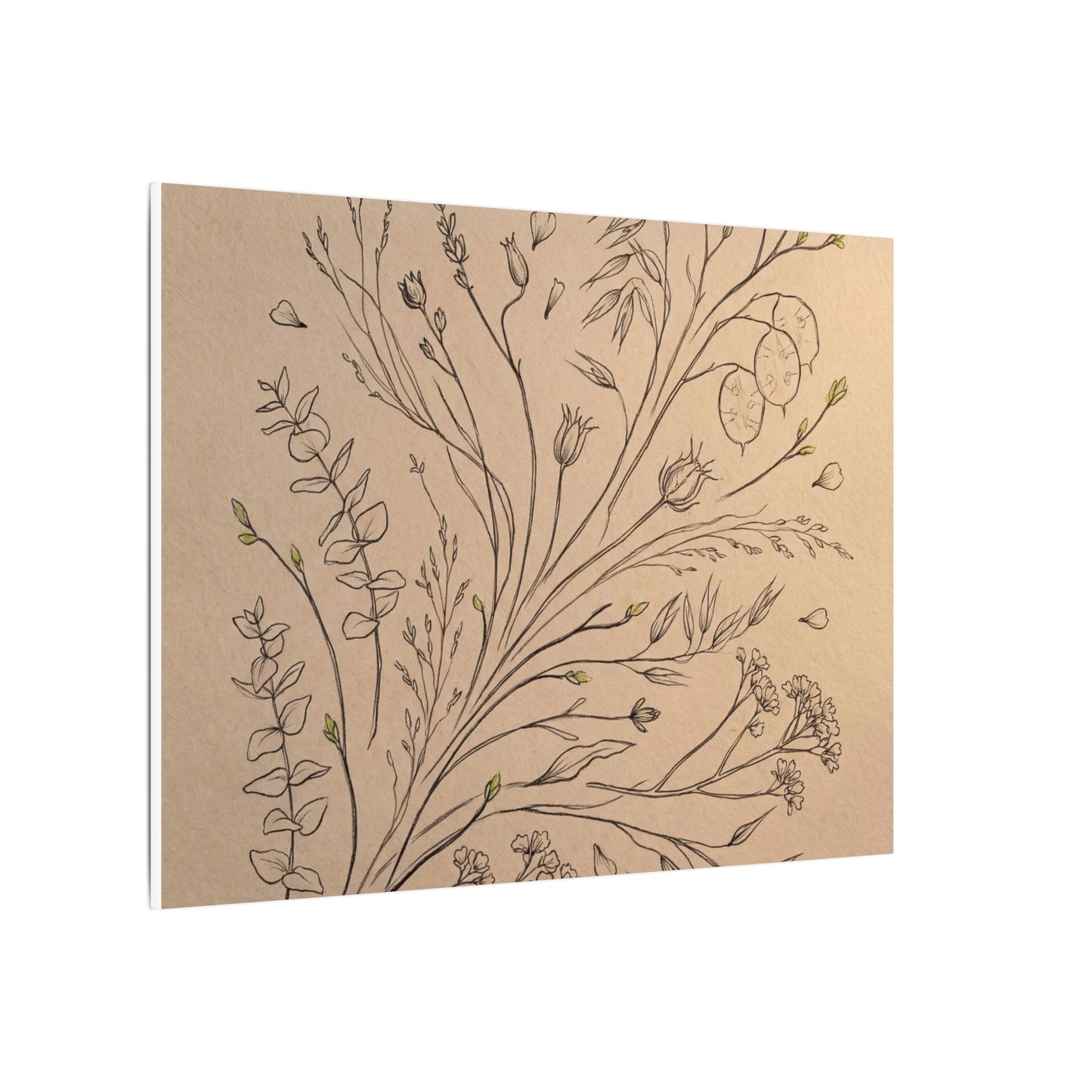 Japandi Dried Flowers in Golden Hour | Minimal Line Canvas Art