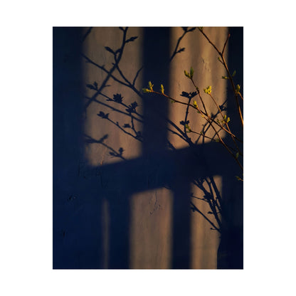 Shibui Shadow Play Wall Art Print - Dark Japandi Shadow Zen