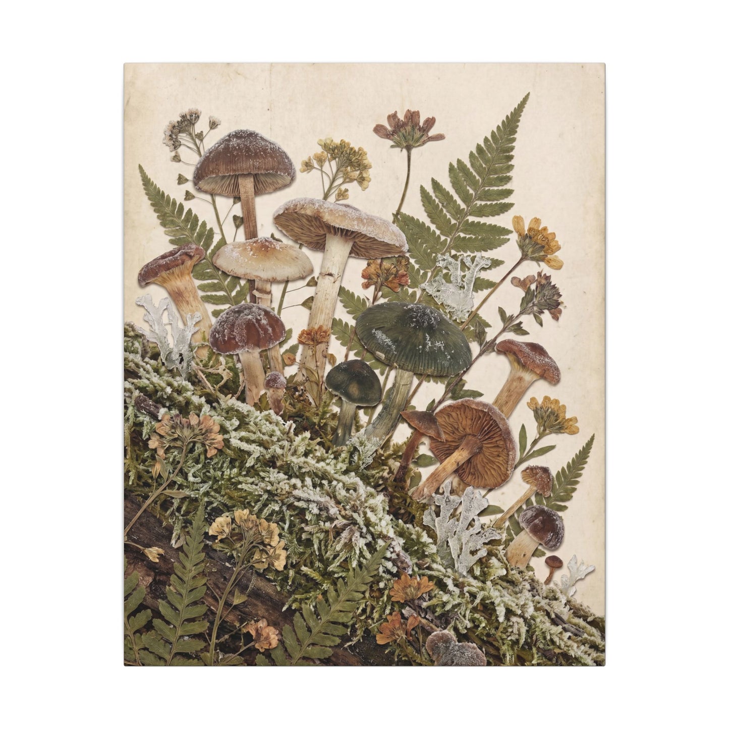 Winter Wild Mushrooms Herbarium Canvas Art | Enchanting Decor