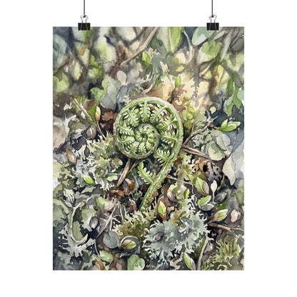 Dappled Fern Unfurling Wall Art Print - Japandi Shibui