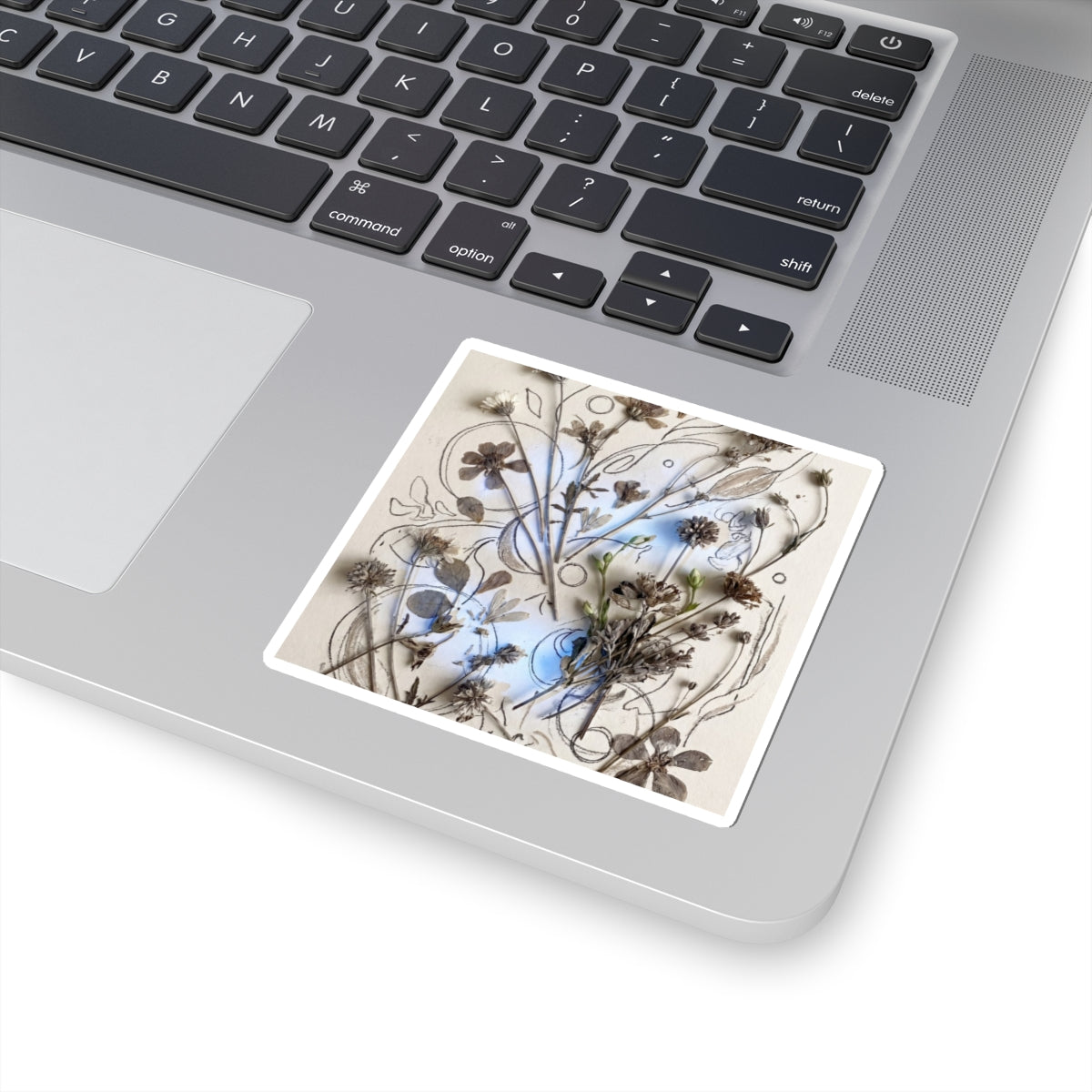 Dried Flowers Spring Sticker | Japandi Elegant Design Art Print