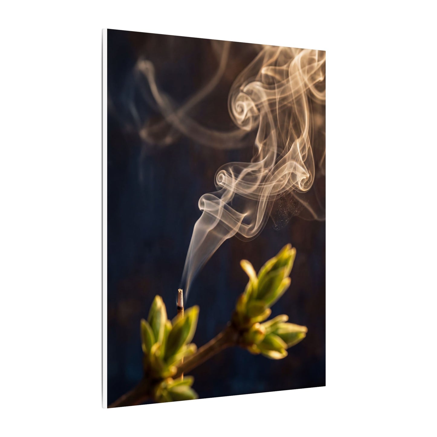 Incense Smoke Spring Canvas Art | Dark Japandi Atmospheric Design