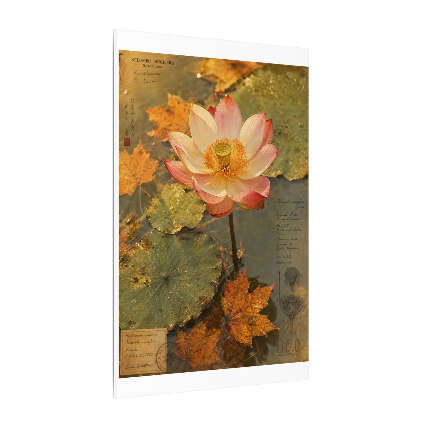 Autumn Lotus Flower Herbarium Canvas Art | Rustic Decor