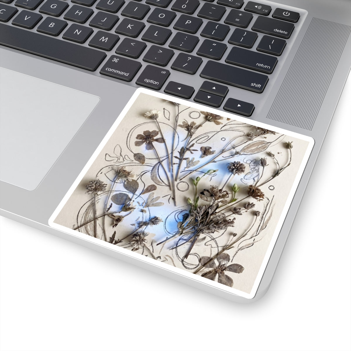 Dried Flowers Spring Sticker | Japandi Elegant Design Art Print