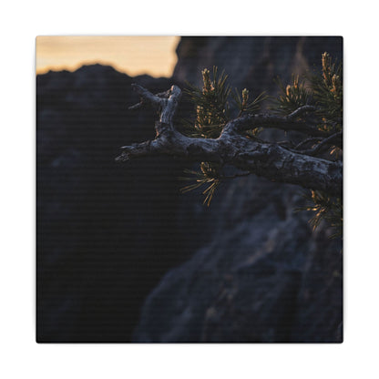 Pine Tree Moody Minimal Canvas Art | Sophisticated Dark Japandi Art