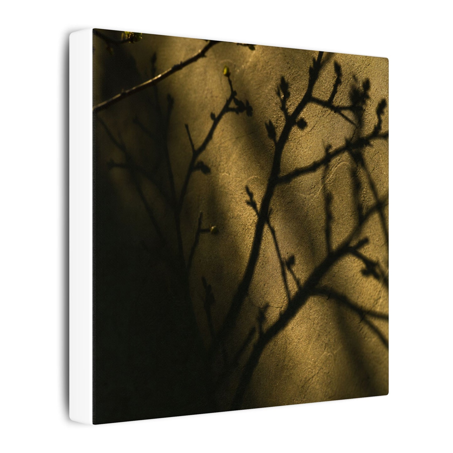 Golden Hour Shadow Play Canvas Art - Dark Japandi Seijaku
