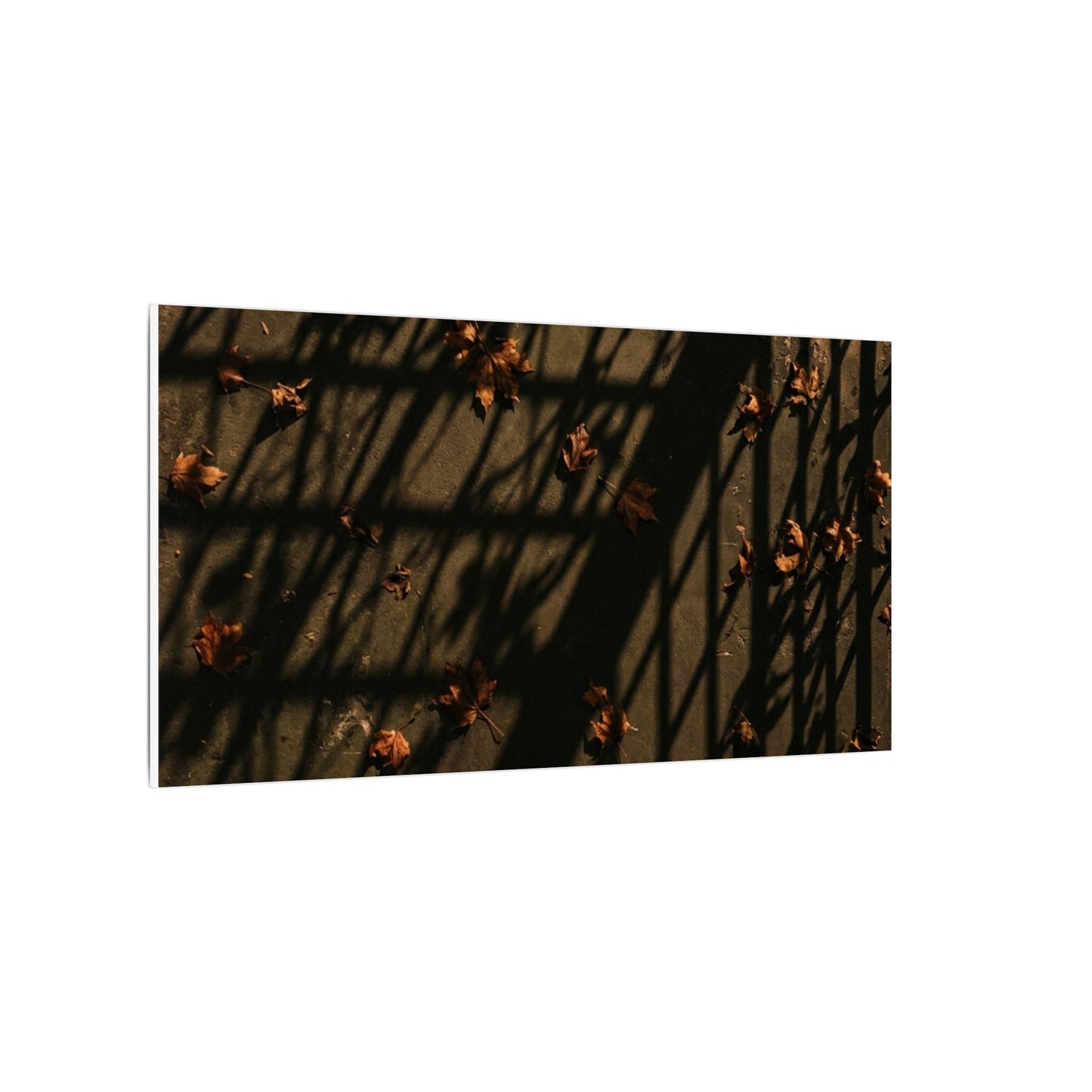 Dark Japandi Shadow Play in Golden Hour | Moody Minimal Canvas Art
