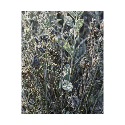Dried Flowers Winter Wall Art Print | Japandi Neutral Design