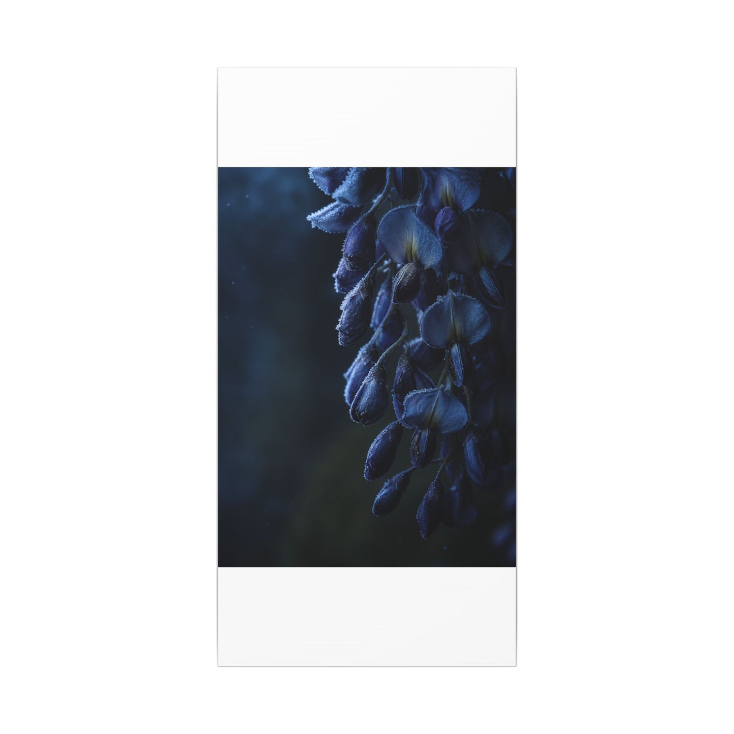 Winter Wisteria Shadow Zen Canvas Art | Atmospheric Decor
