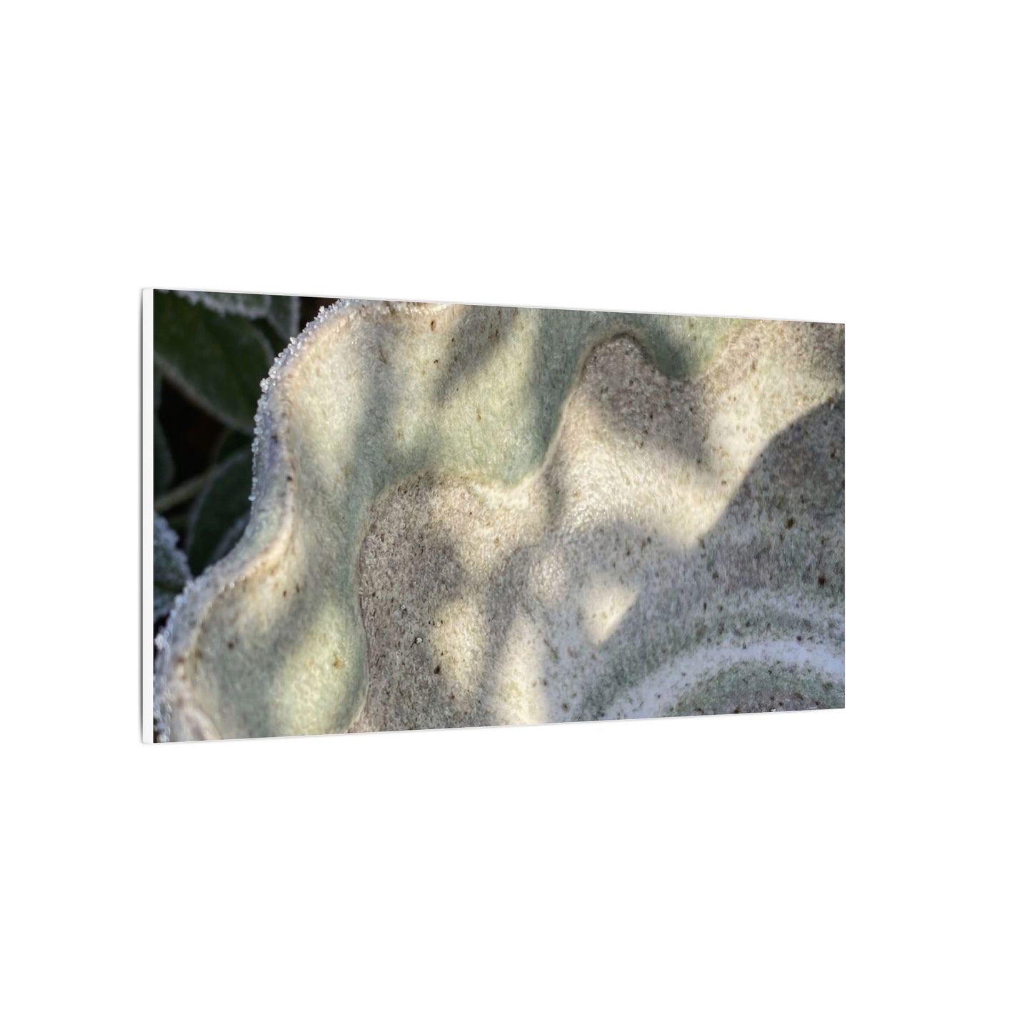 Dappled Ceramic Bowl Canvas Art - Japandi Seijaku