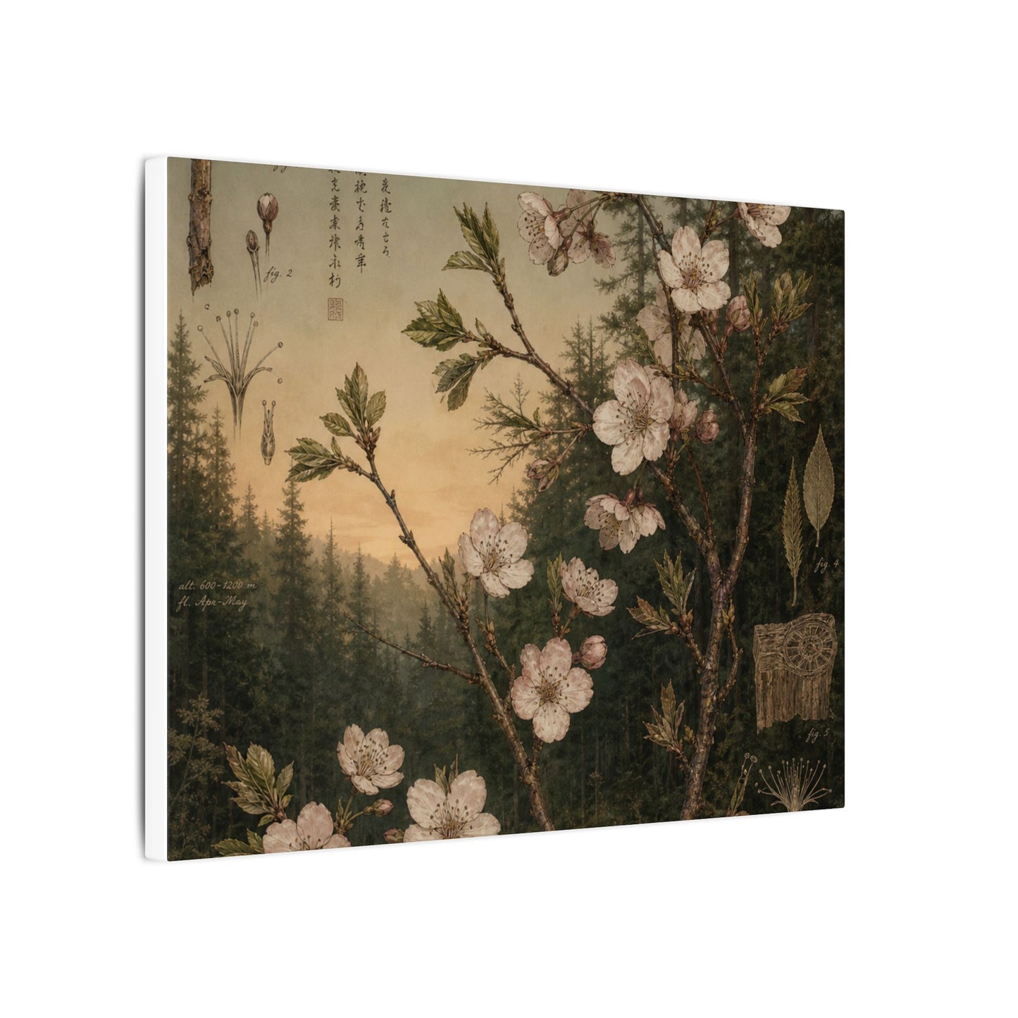 Spring Cherry Blossom Herbarium Canvas Art | Nostalgic Decor