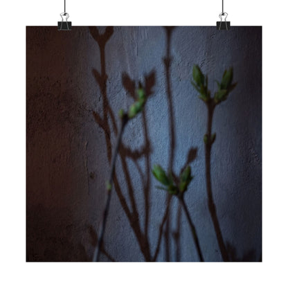 Spring Shadow Play Shadow Zen Wall Art Print | Moody Decor