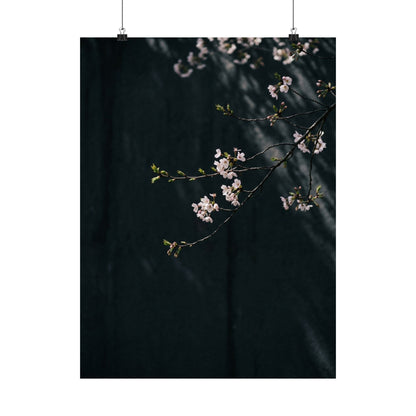 Cherry Blossom Wall Art Print | Spring Dark Japandi Moody Minimal Art Art Print