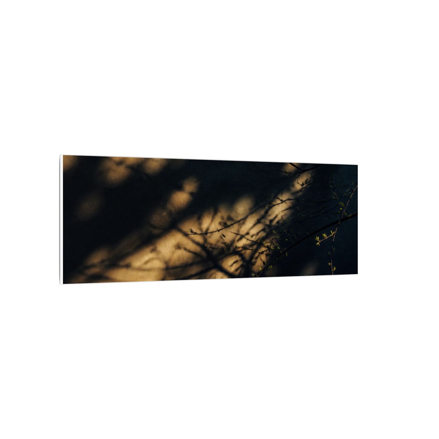Moody Shadow Play Canvas Art - Moody Minimal Dark Japandi