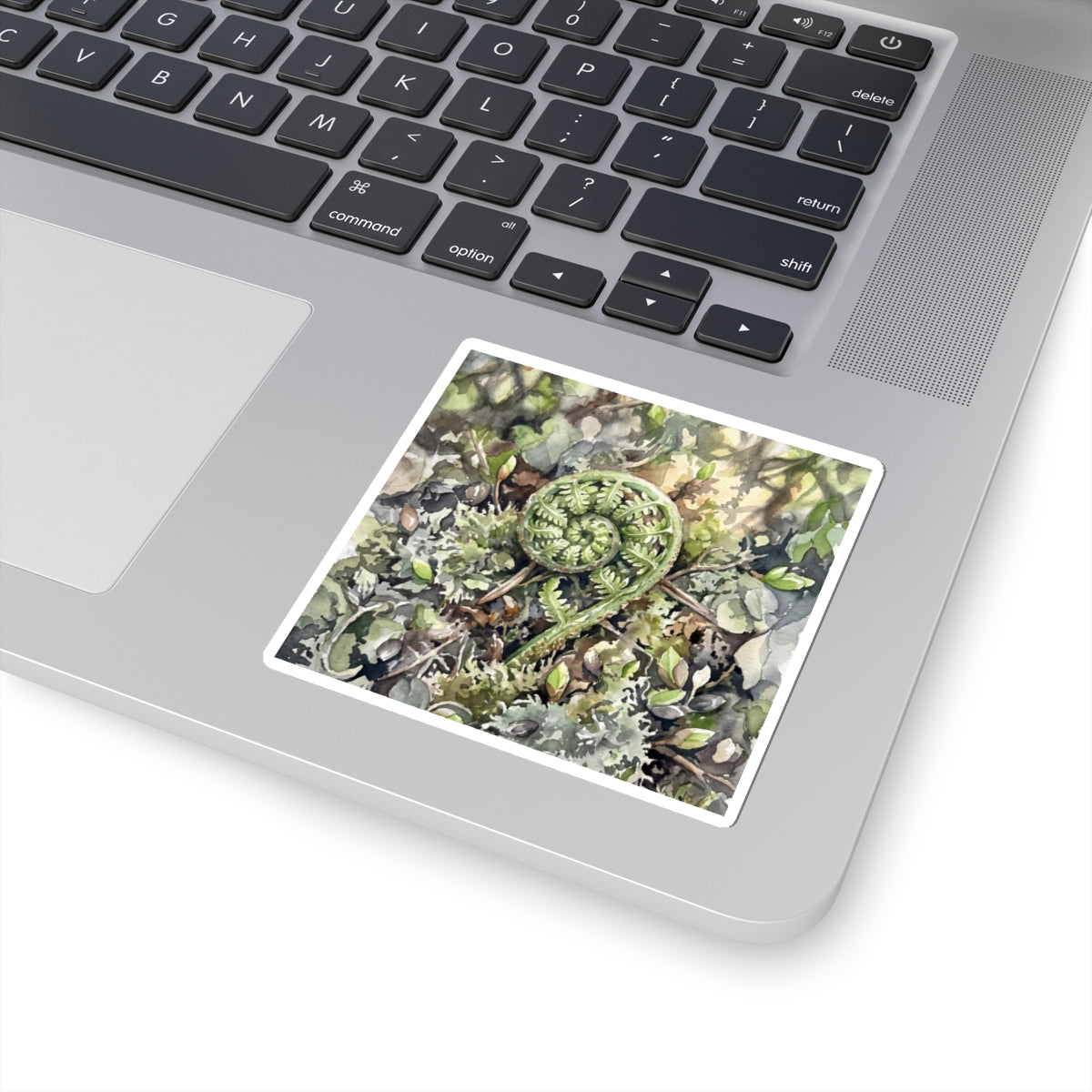 Japandi Fern Unfurling in Dappled | Watercolor Sticker