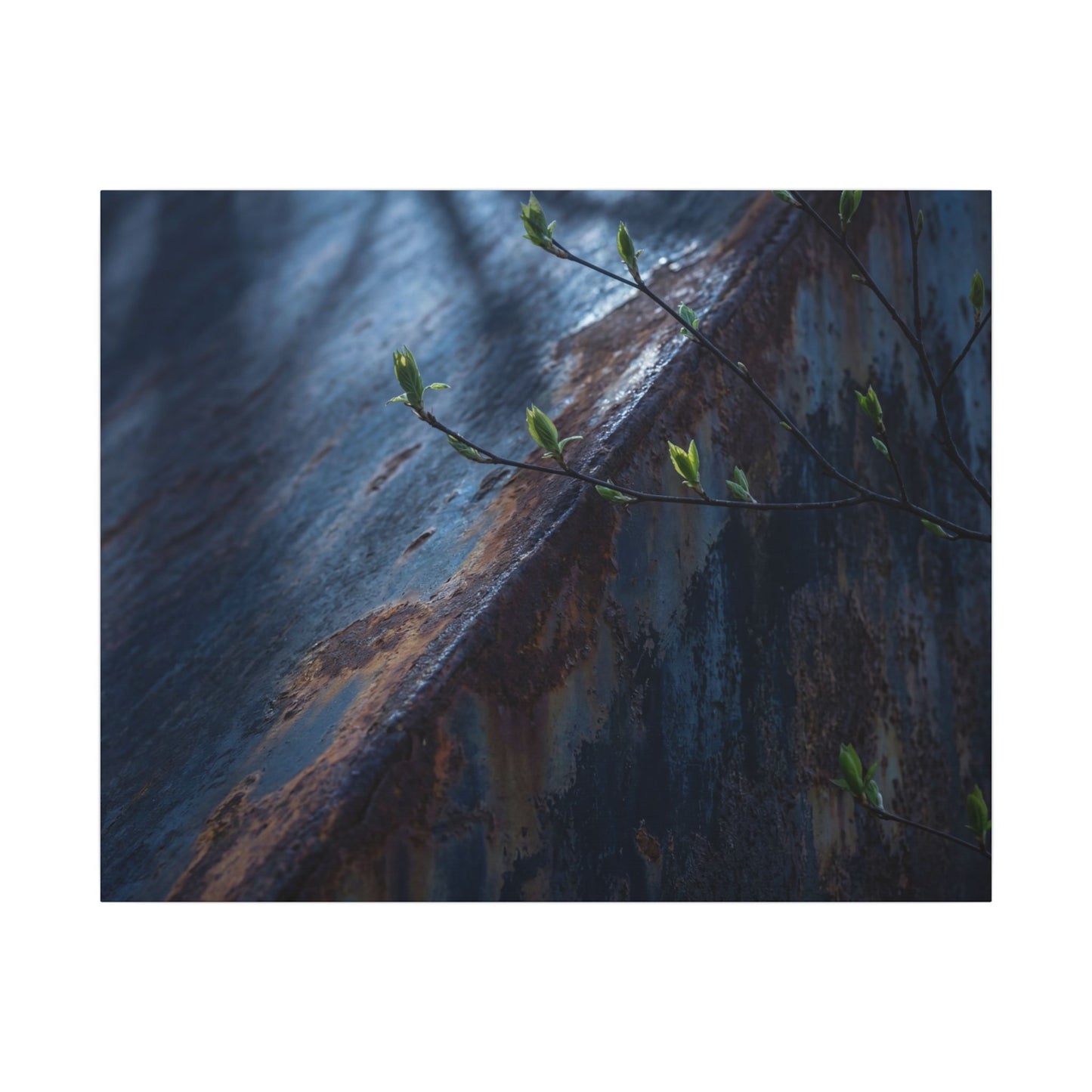 Rust Patina Canvas Art | Spring Dark Japandi Shadow Zen Art