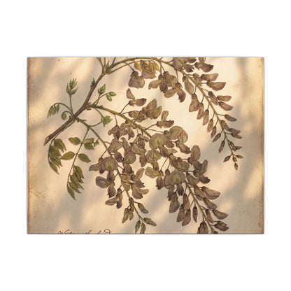 Spring Wisteria Herbarium Canvas Art | Earthy Decor