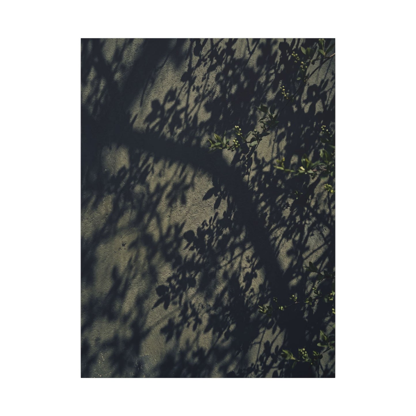 Atmospheric Shadow Play Canvas Art - Moody Minimal Dark Japandi