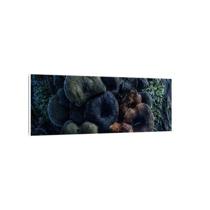 Wild Mushrooms Moody Minimal Canvas Art | Moody Dark Japandi Art