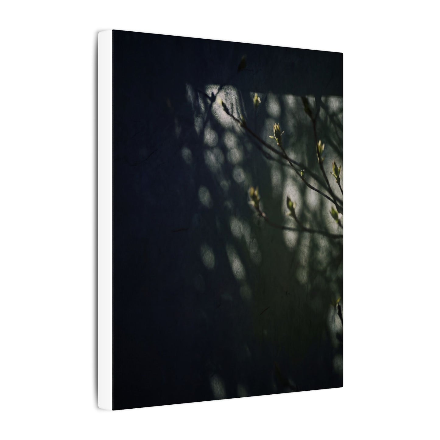 Dark Japandi Shoji Screen in Dappled | Moody Minimal Canvas Art