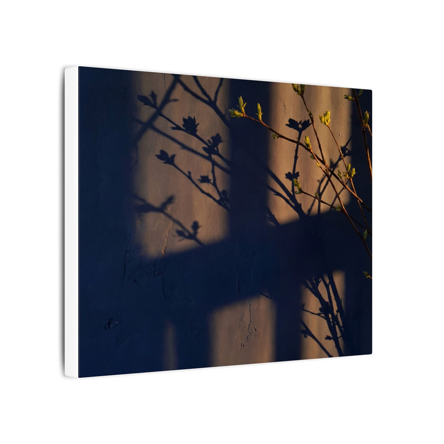 Shadow Play Canvas Art | Spring Dark Japandi Shadow Zen Art