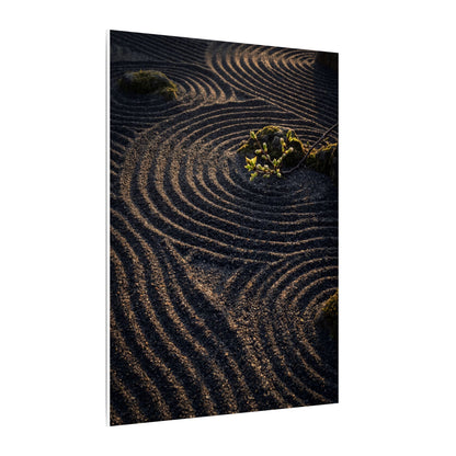 Spring Rock Garden Shadow Zen Canvas Art | Atmospheric Decor