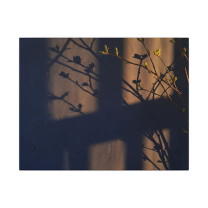 Shadow Play Canvas Art | Spring Dark Japandi Shadow Zen Art Art Print