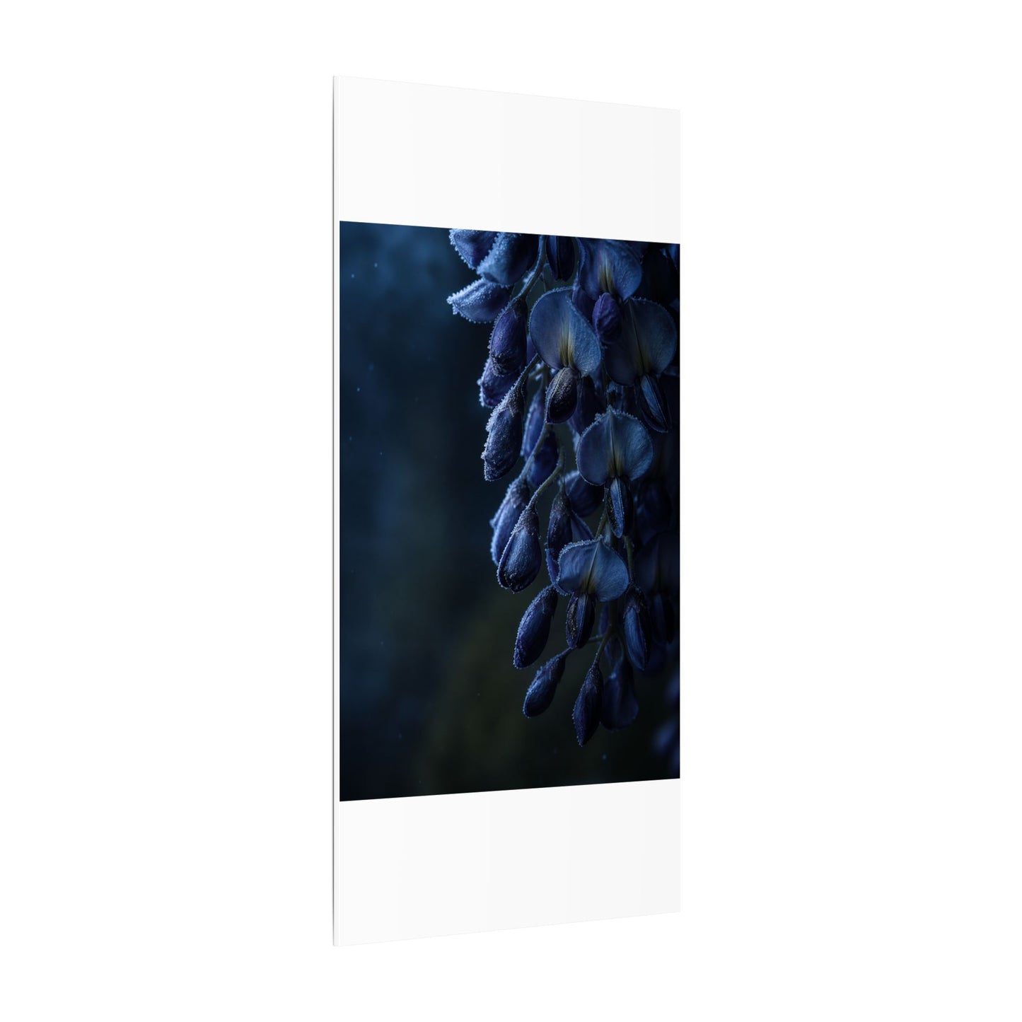 Winter Wisteria Shadow Zen Canvas Art | Atmospheric Decor